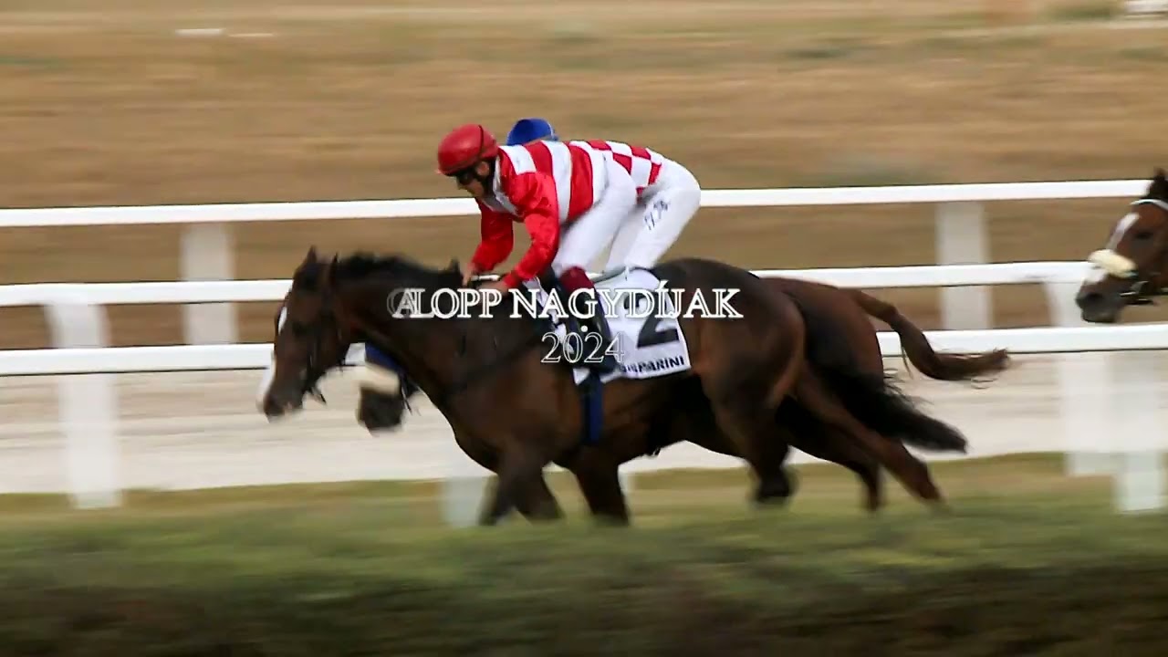 Galopp összefoglaló 2024