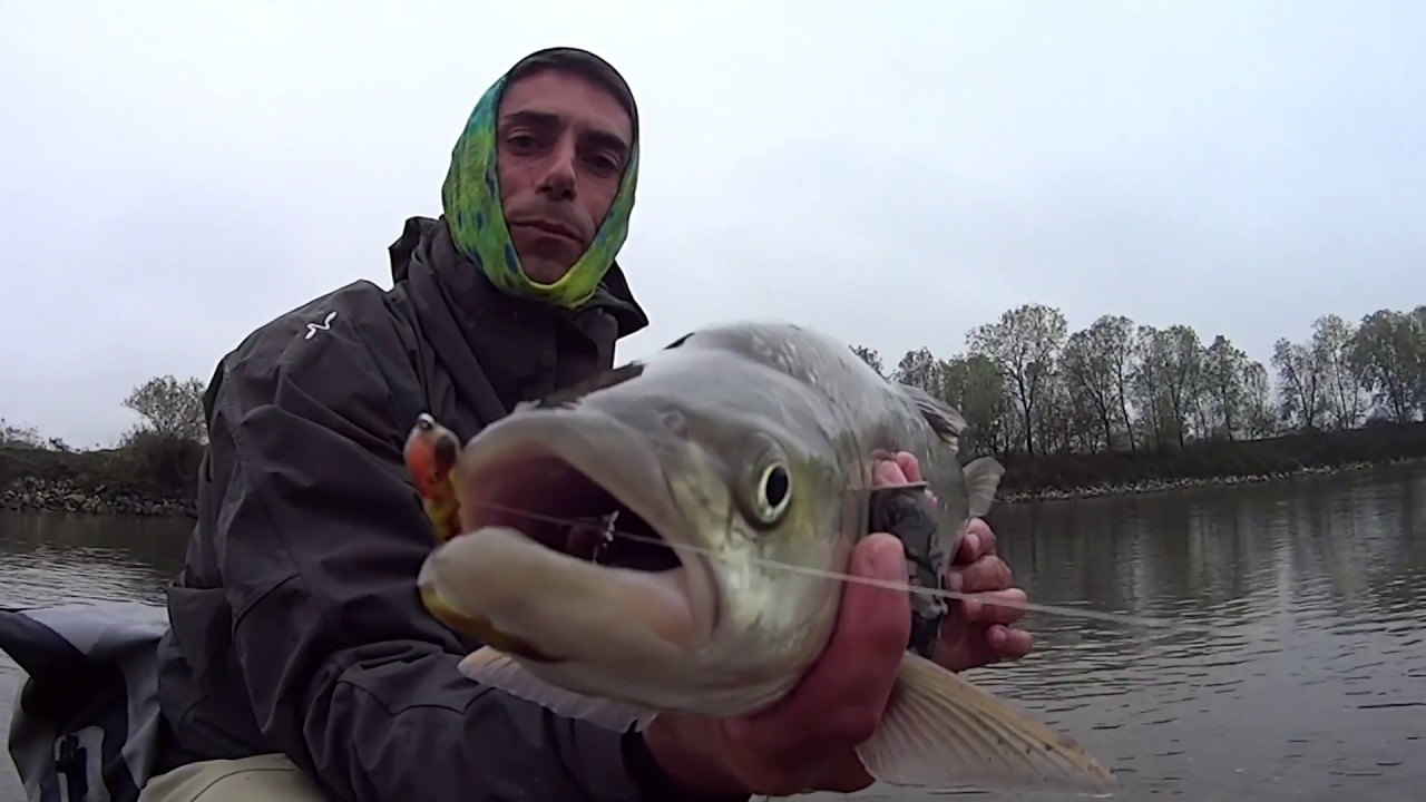 Fly Fishing - INVERNO 2016 / 2017