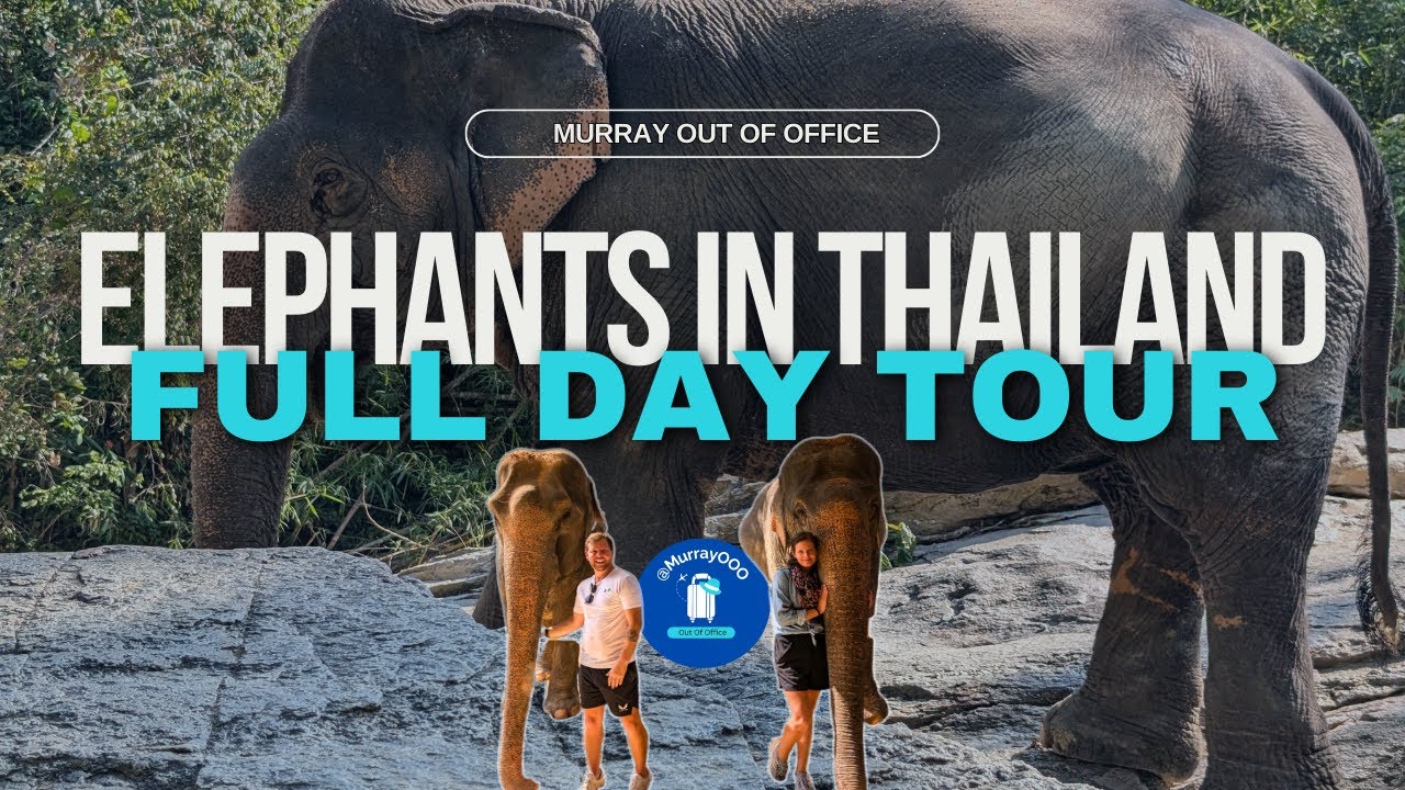 Elephant Sanctuary Chiang Mai Thailand: Full Day Adventure