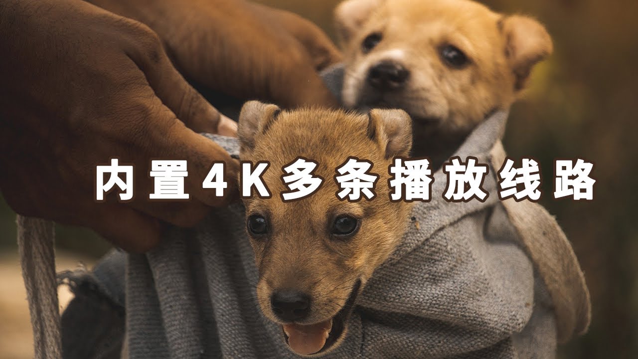 超级好用的一款影视app,蓝光4K，内置几十个播放资源线路！