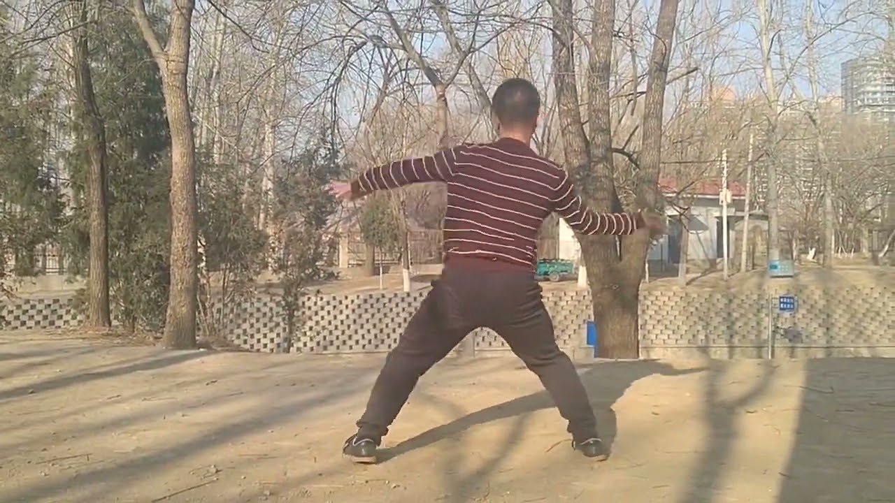 Teng Jian Yun (滕建云) Fanzi quan demonstrated