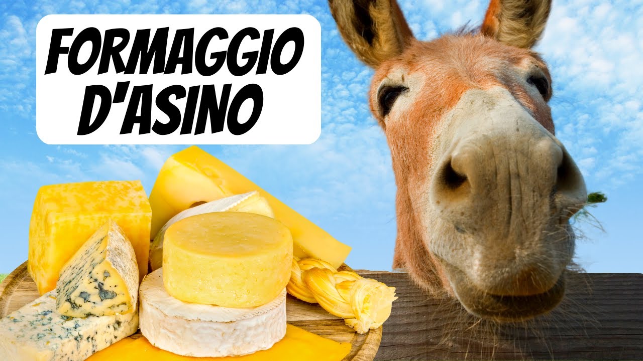 TOP 10 FORMAGGI PIU COSTOSI AL MONDO