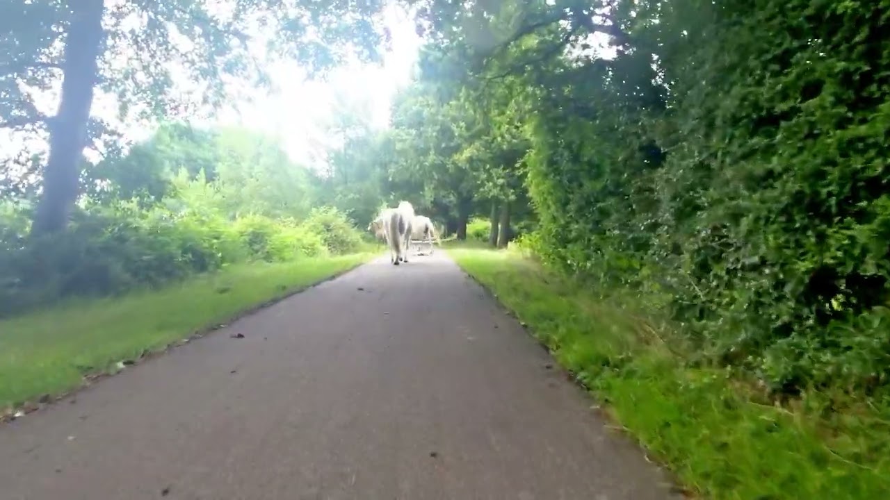 Toer door Overijssel 12