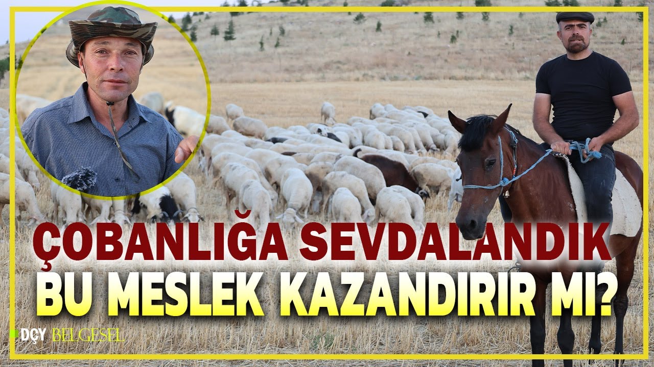 12 ay dağda yaşam- Biz şehirde yapamayız- asgari ücrete değişmem bu mesleği