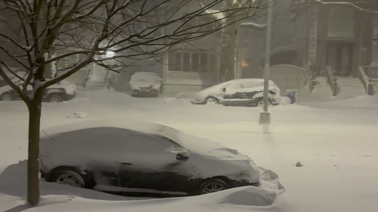 Así está la tormenta de nieve en NY ☃️❄️❄️