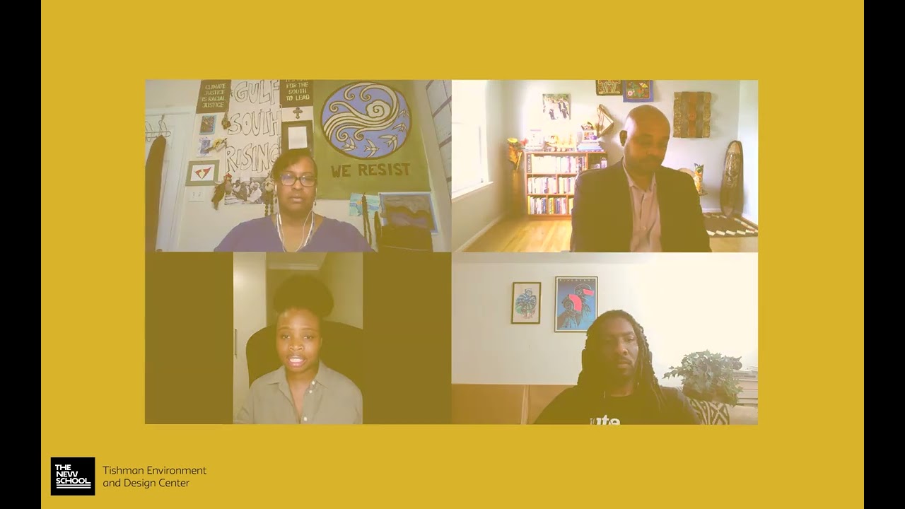 Climate Crisis And The African Diaspora: Summary Discussion