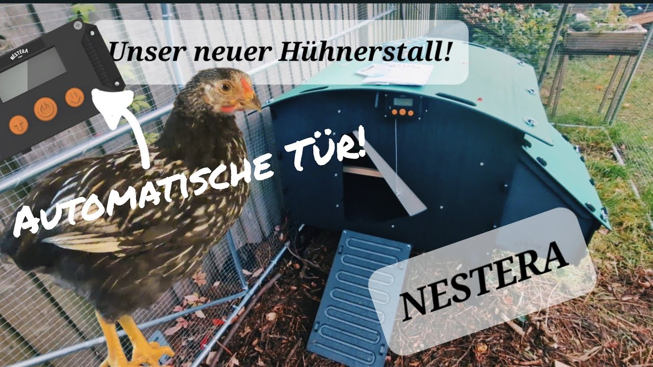 NESTERA Unboxing & Review || 5% Rabattcode! (Infobox) || Hühner im Garten halten #4
