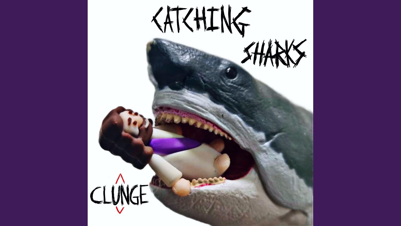 Fishing For Compliments (Catching Sharks)