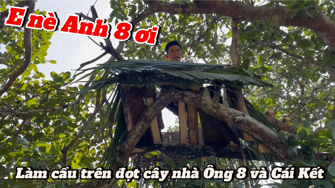 Làm cầu cá tra trên đọt cây Troll Ông Bà 8 và Cái Kết