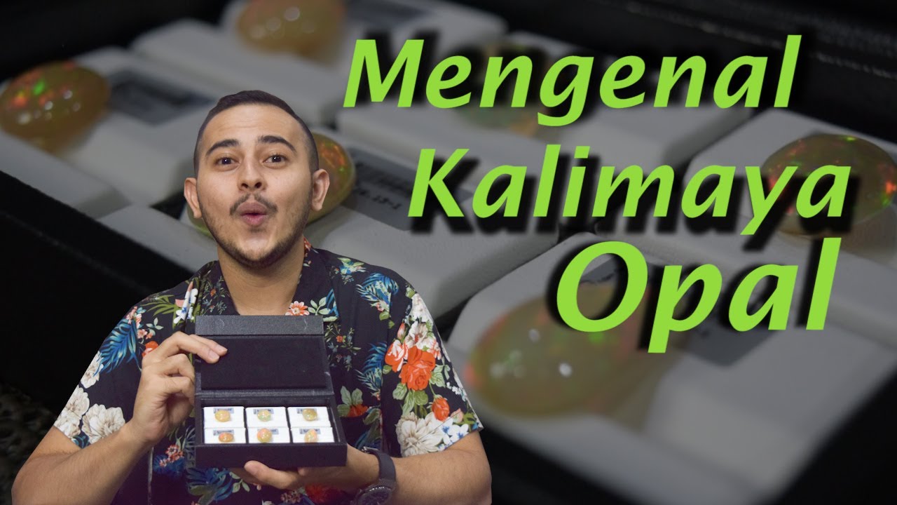 MENGENAL KALIMAYA OPAL || ADAM HARITS, G.G.