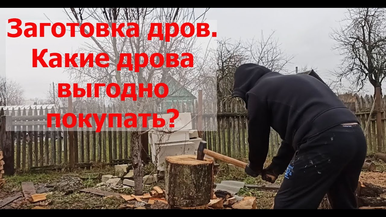 Расколол лесовоз дров. Сколько стоят дрова? Как колоть дрова? Колотые или резанные дрова дешевле?