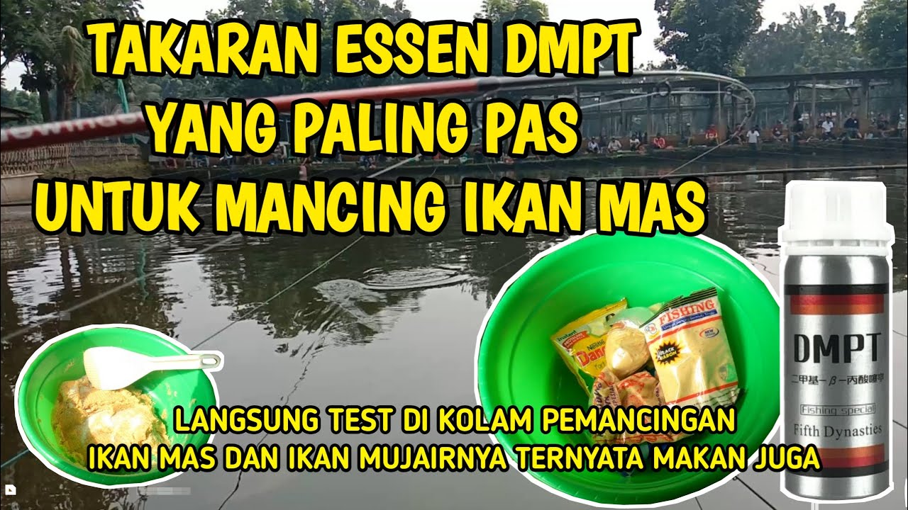 UMPAN DADAKAN PLUS DMPT LANGSUNG TEST DI KOLAM PEMANCINGAN // PEMANCINGAN KABEDA