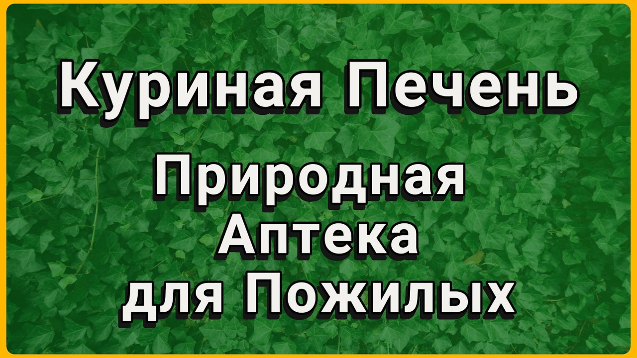 Почему врачи молчат о пользе куриной печени? Секрет, за который дали Нобелевскую премию.