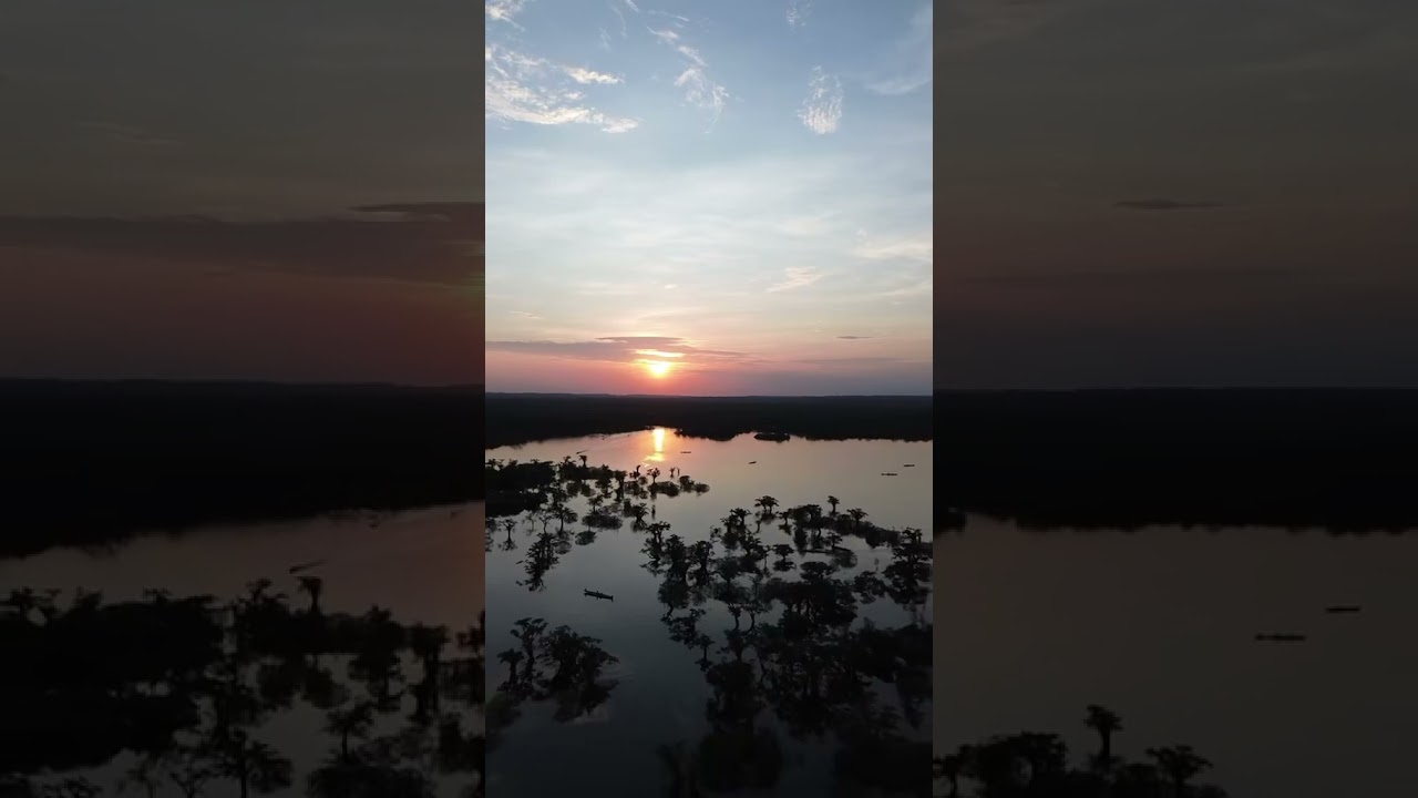 Bienvenue en Amazonie &eacute;quatorienne 🇪🇨#equateur #amazonie #globetrotteur #voyage #visitelemonde