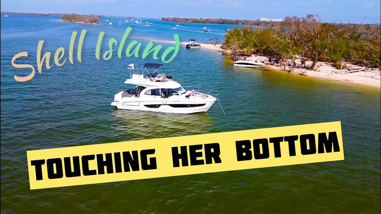 Shell Island Sandbar Visit