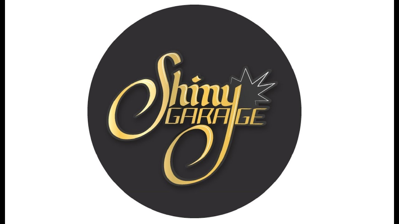 SHINY GARAGE Leather Cleaner