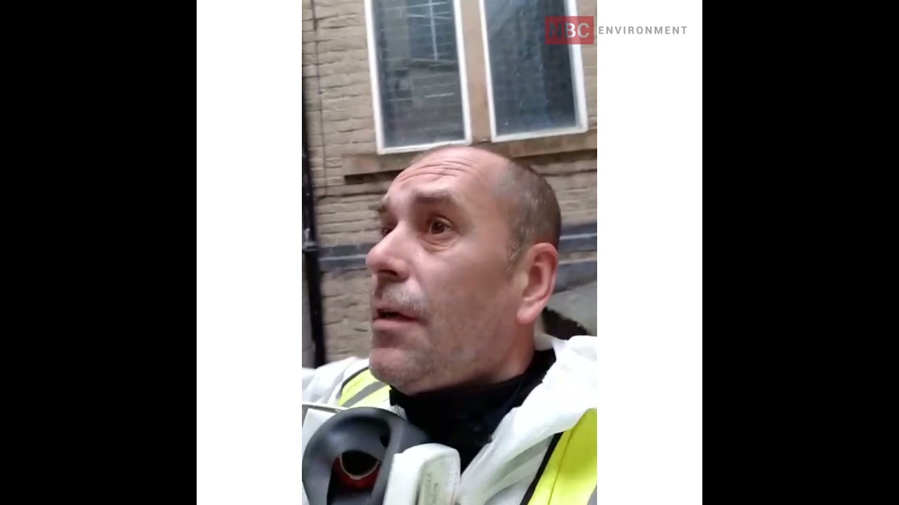 Bird Dropping removal - before and after