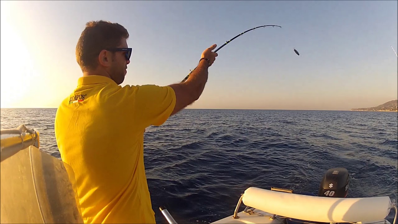Traina al dentice con minnow