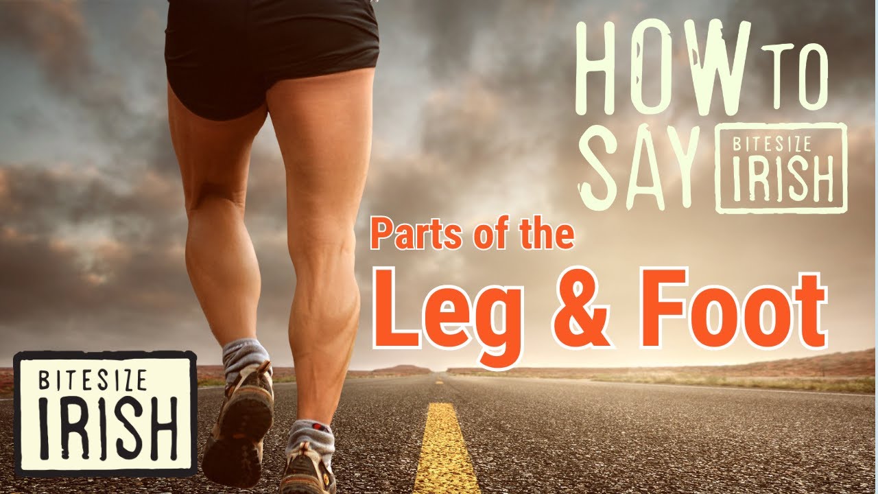 How to say Leg & Foot in Irish #bitesizeirish