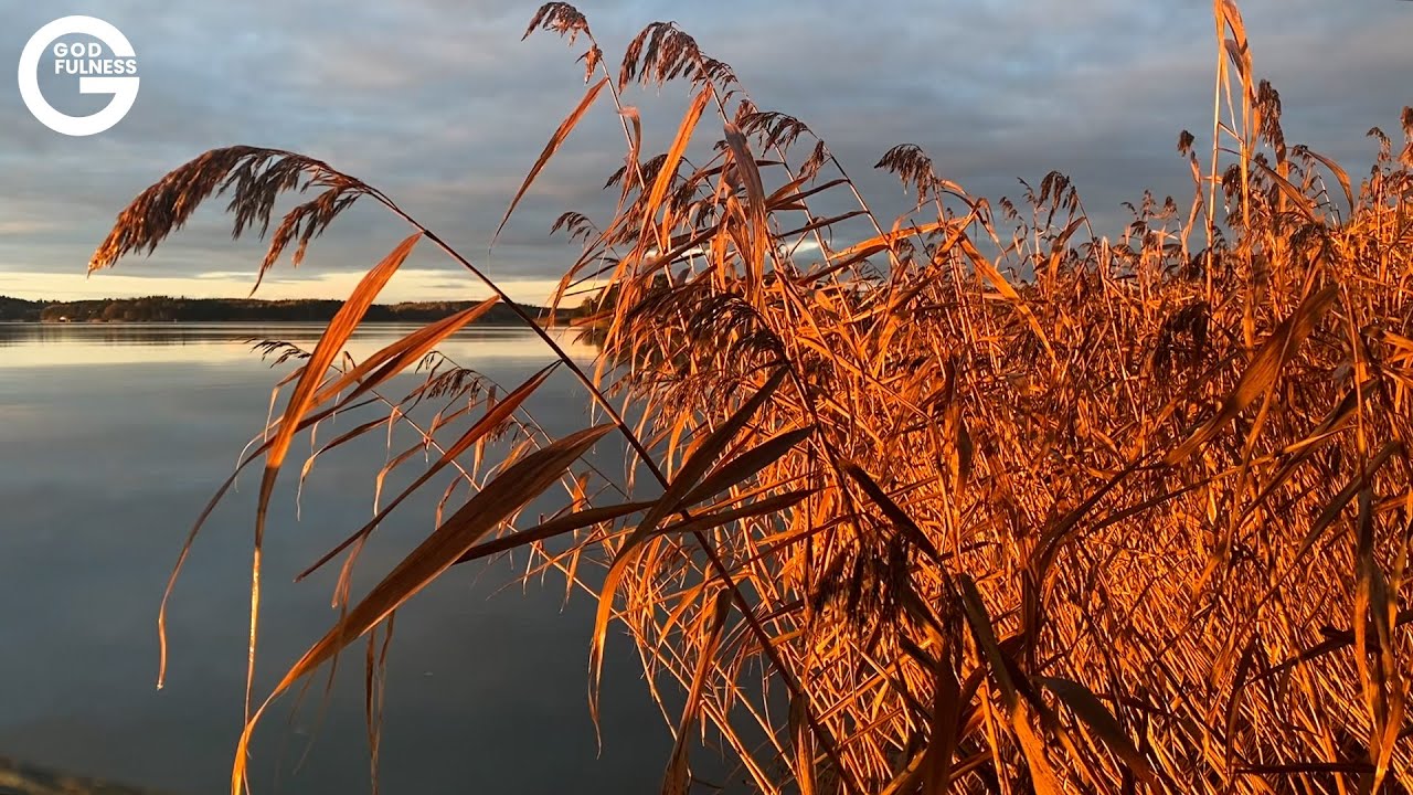 Godfulness-minuuttirentoutuminen. Jakso: Aamurukous.