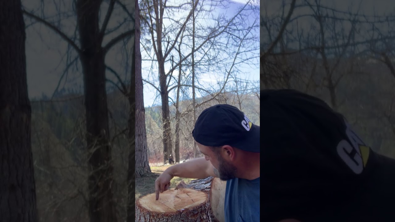 Best way to split a knotty wood round