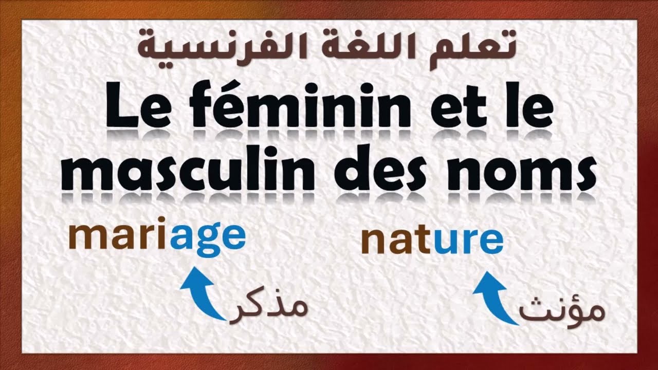 تعلم اللغة الفرنسية Le féminin et le masculin des noms