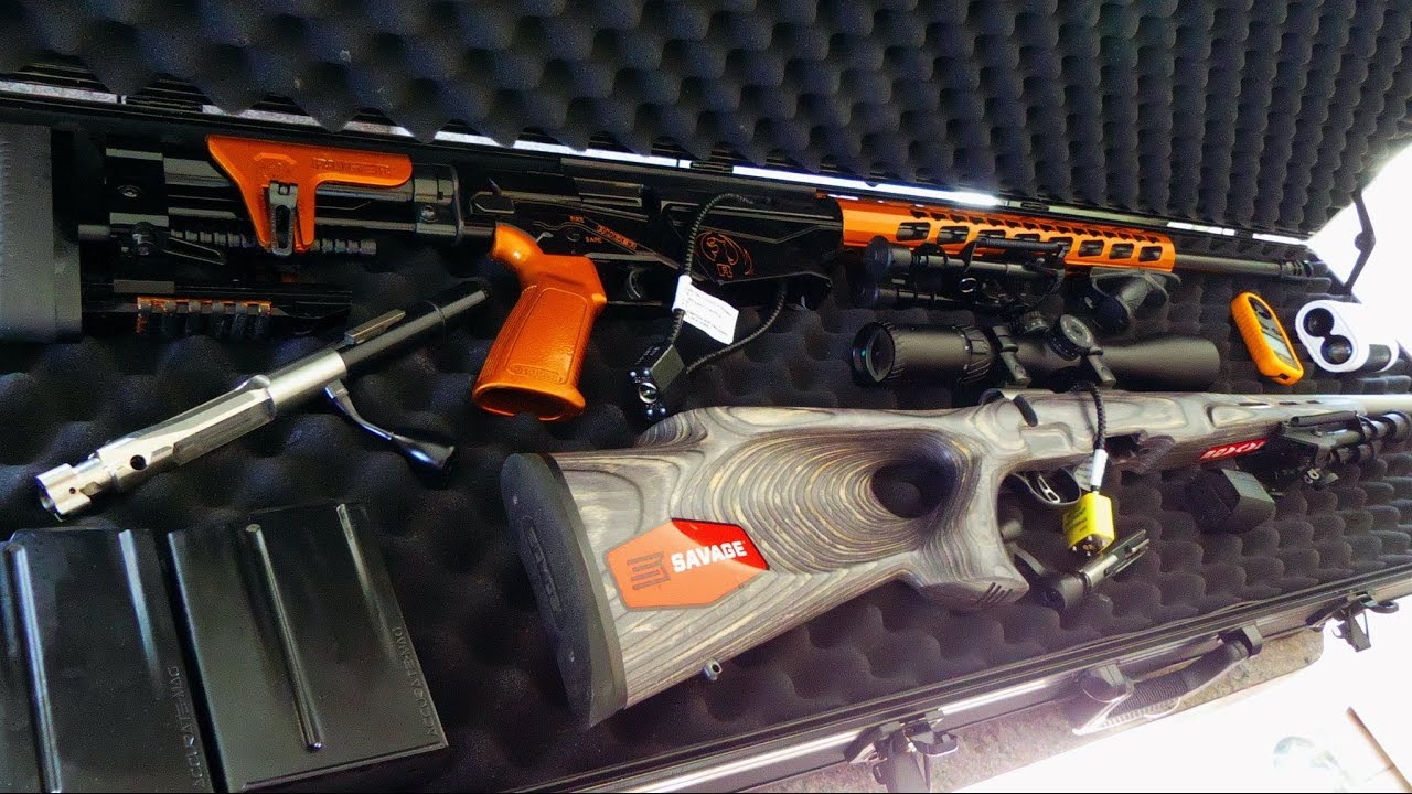 Review of the Savage BMAG in .17WSM