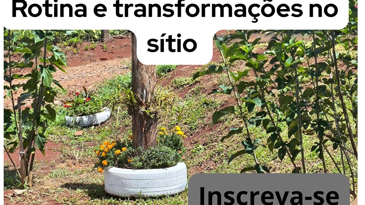 Rotina e transforma&ccedil;&otilde;es no s&iacute;tio do zero