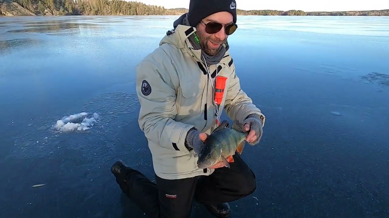 Pimpelfiske efter stor abborre (Tobias drar nytt PB)