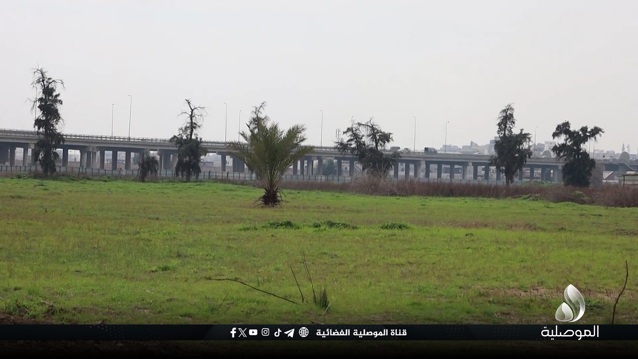 أهالي الموصل: نرفض استغلال الغابات لإقامة مشاريع تجارية.. والغابات متنفسنا الوحيد