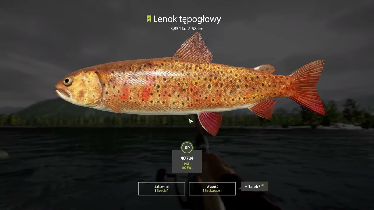 Yama River Float spot | Russian Fishing 4 #16