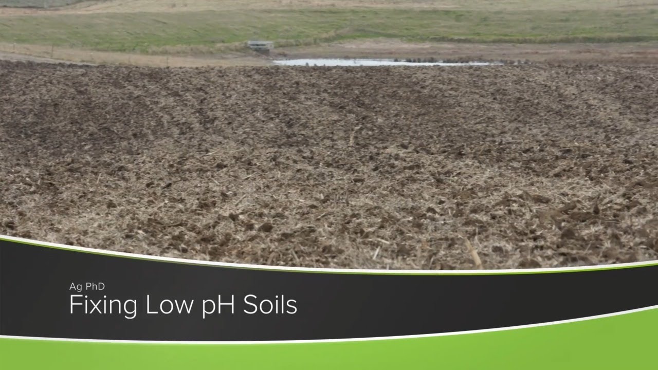Fixing Low pH Soils (From Ag PhD Show #1170 - Air Date 9-6-20)