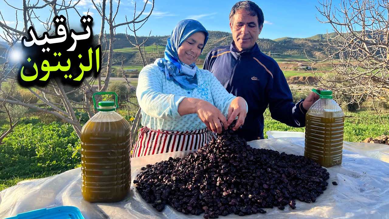 ترقيد جميع أنواع الزيتون بطريقة إحترافية و بمواد طبيعية