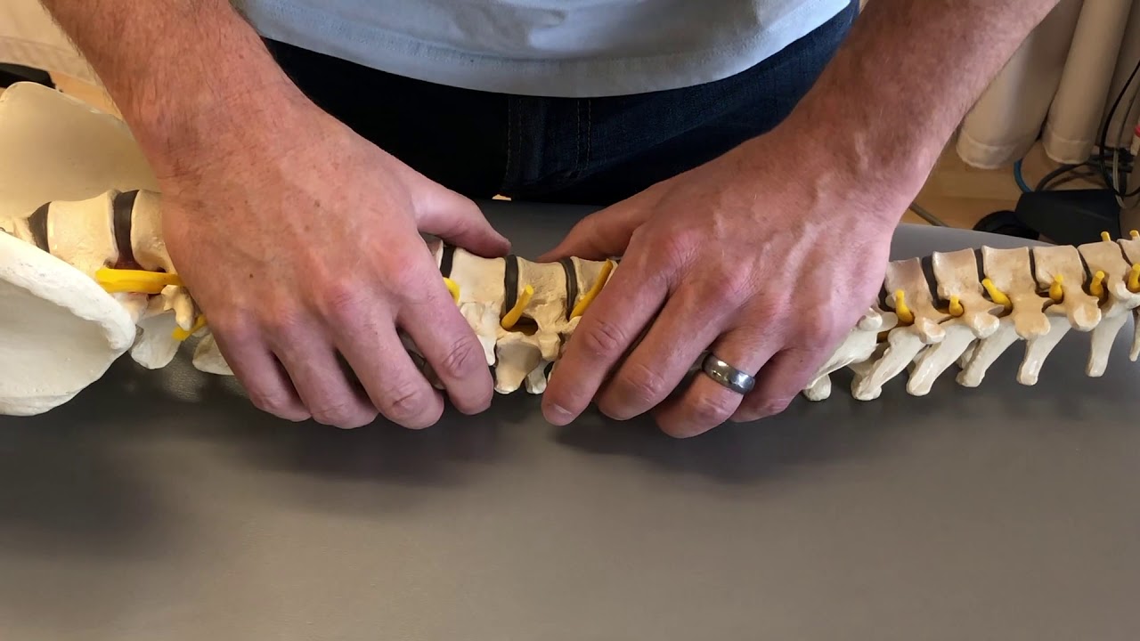 Mobilizing With Dural Tension