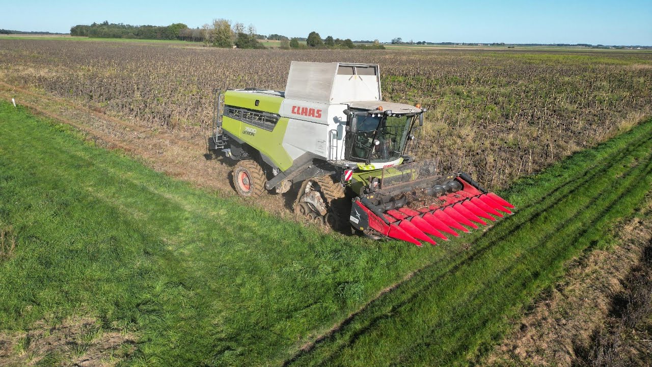 Moissons des tournesols