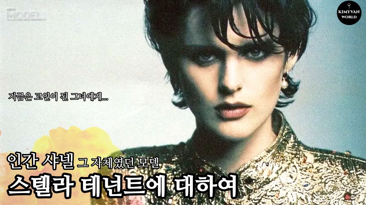 스텔라 테넌트에 대하여