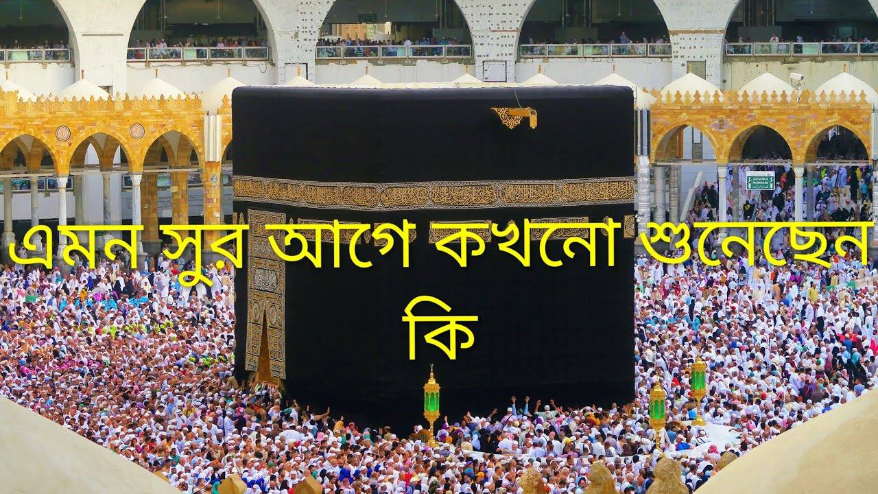 একবার হলেও শুনুন ​ #QuranRecitation, #IslamicVideo, #ViralTilawat, #PeacefulQuran 