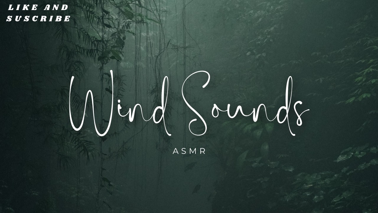 The wind ASMR (Nature sounds)