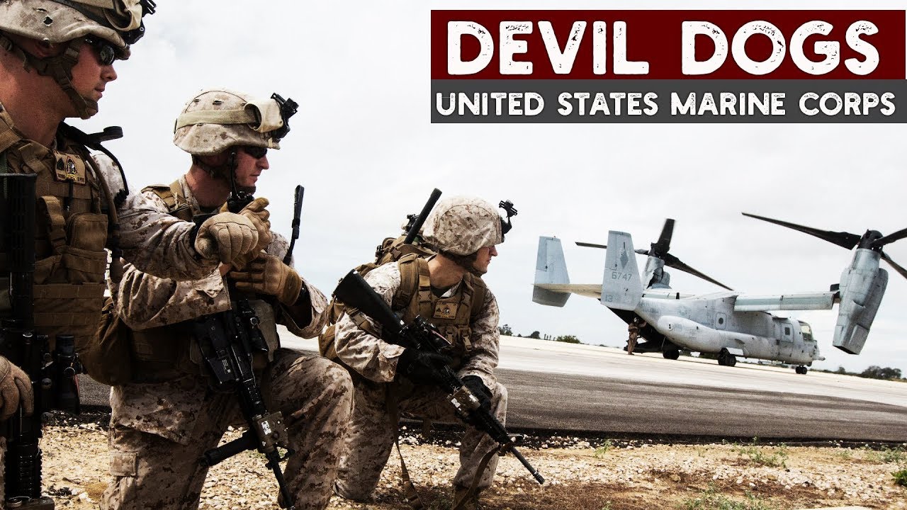 USMC | Mad dogs of the US marine corps