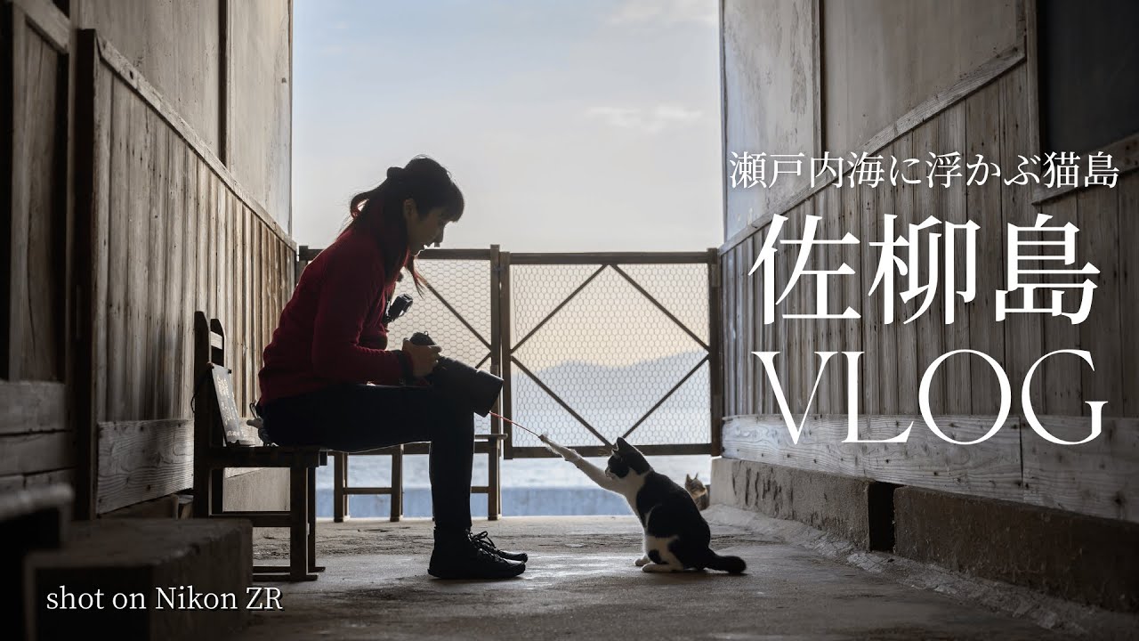 瀬戸内海に浮かぶ猫島、佐柳島VLOG｜shot on NIkon ZR  NIKKOR Z 24−70mm F2.8 SⅡ