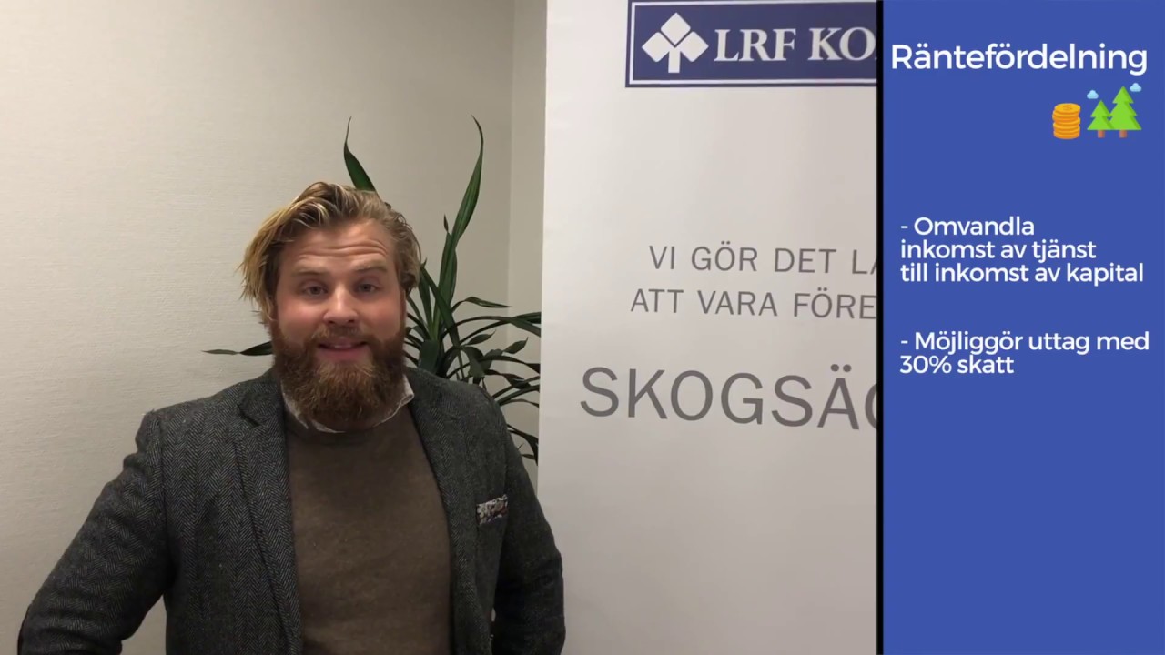 Skogskompis - Skogen och skatten