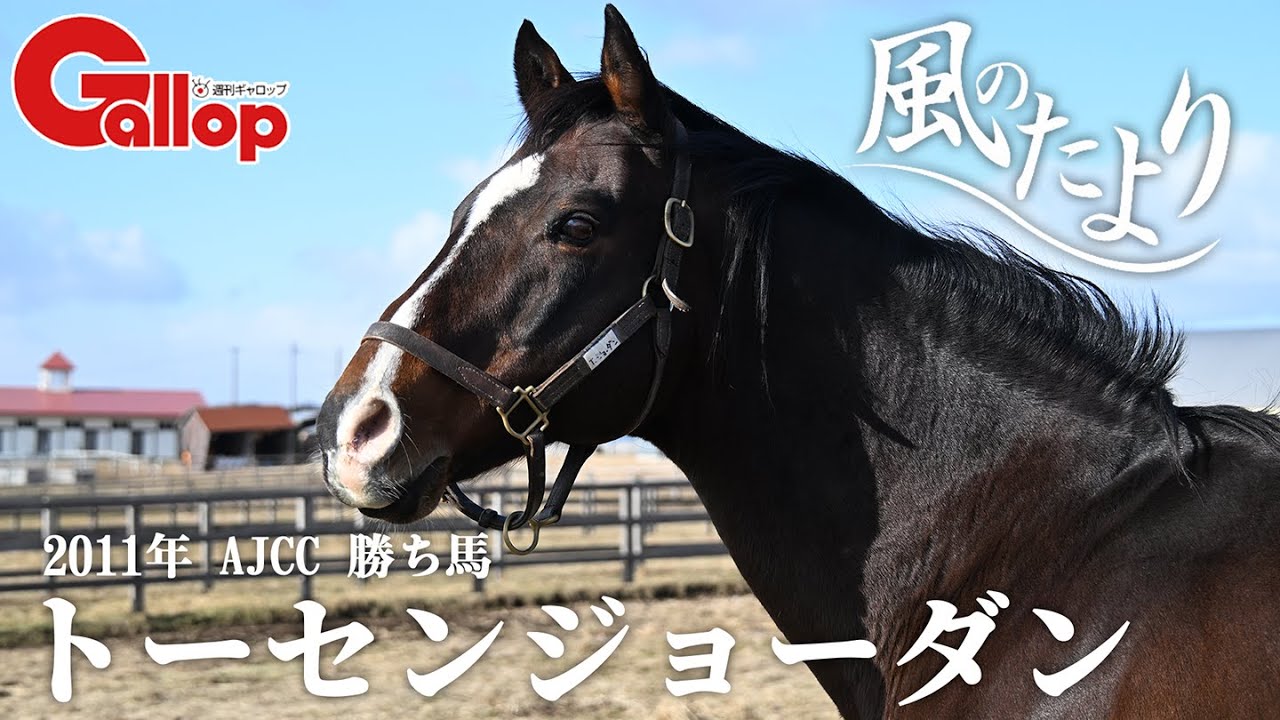 努力の天才　トーセンジョーダン【風のたより】