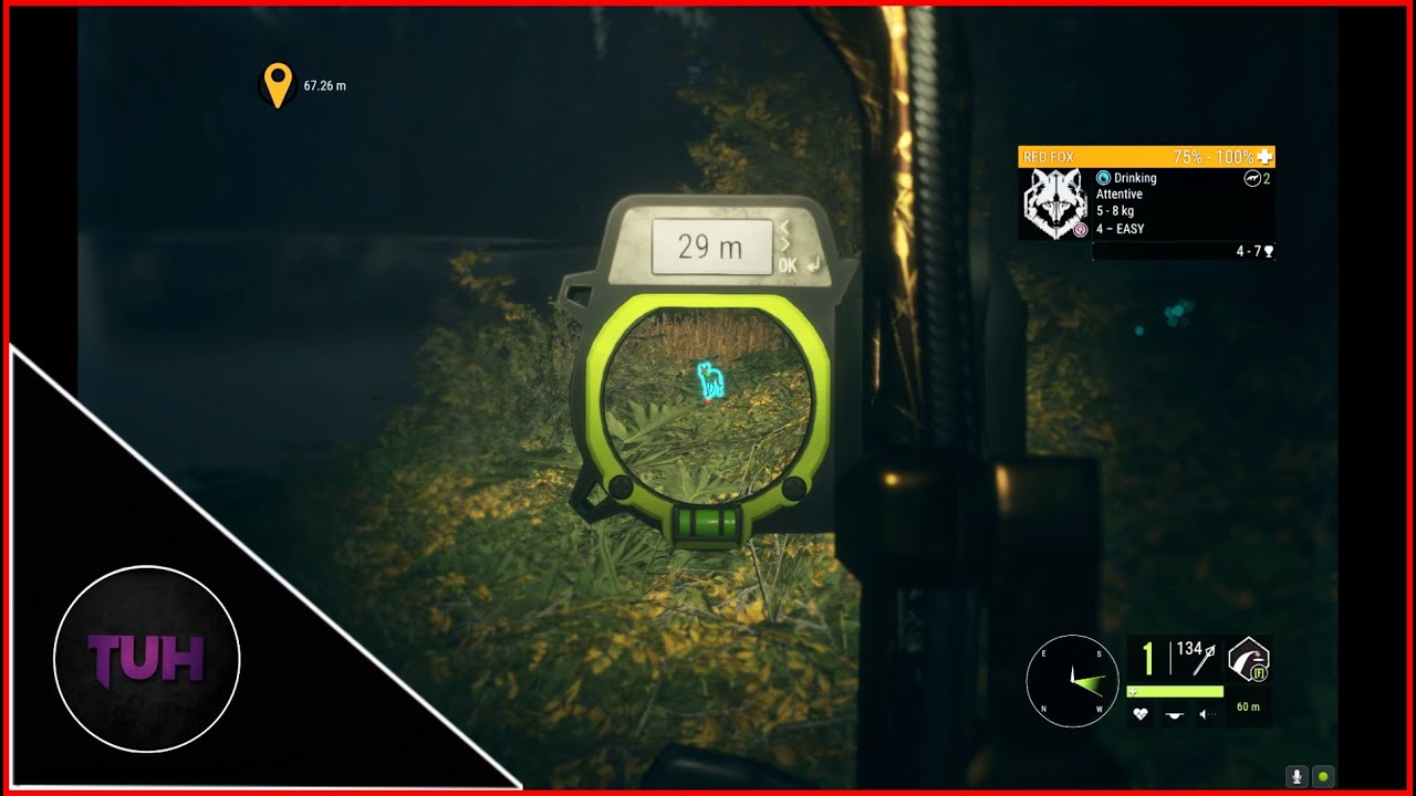 Mr Sommer's Red Fox with a Bow Mission | theHunter Call of the Wild