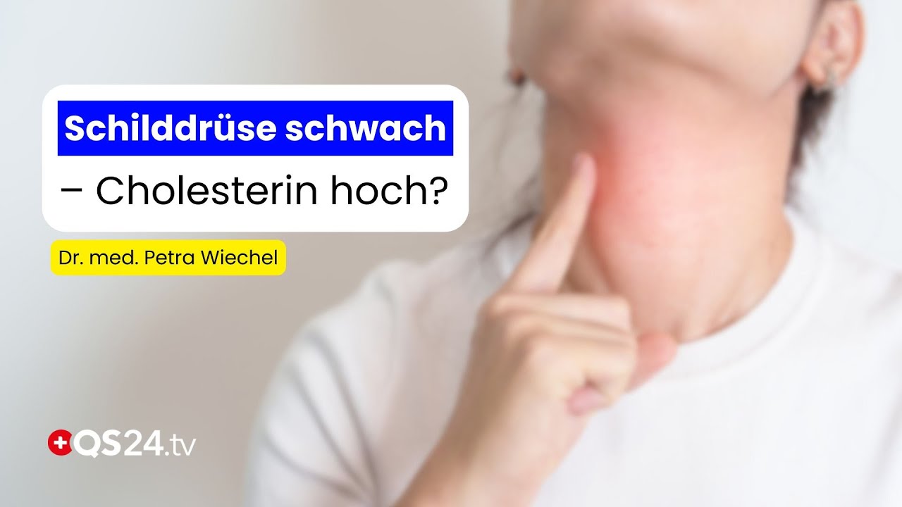 Cholesterin & Schilddr&uuml;se: Der wahre Zusammenhang, den kaum jemand kennt! | Visite | QS24