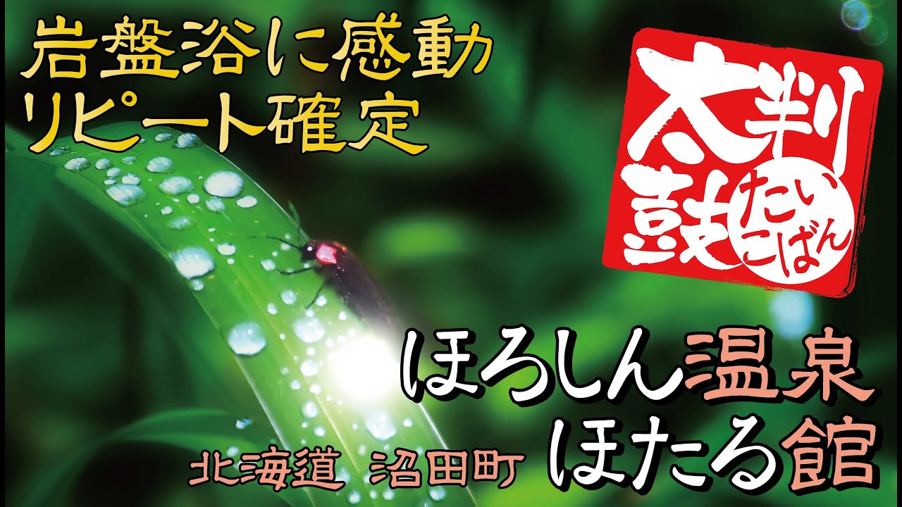 北海道沼田町『ほろしん温泉　ほたる館』ほたるが見れる。やべーいい温泉！