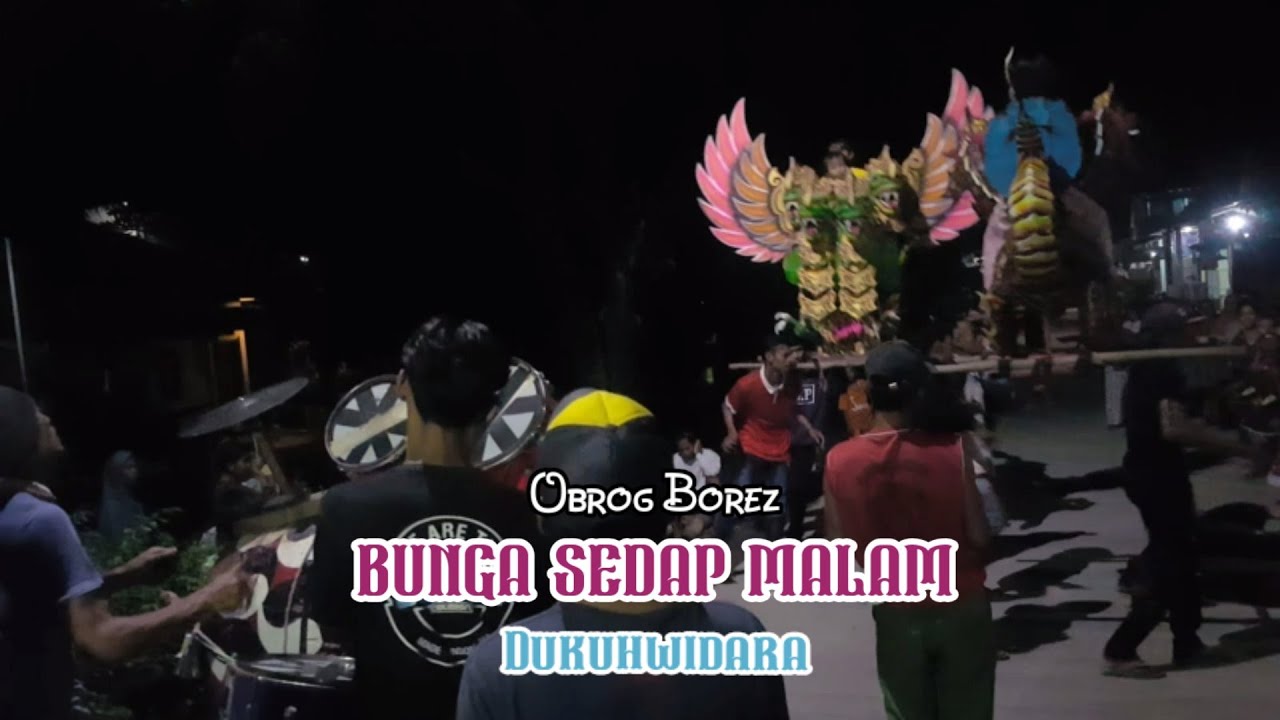 BUNGA SEDAP MALAM || Lembur Ngobrog -Obrog Borez