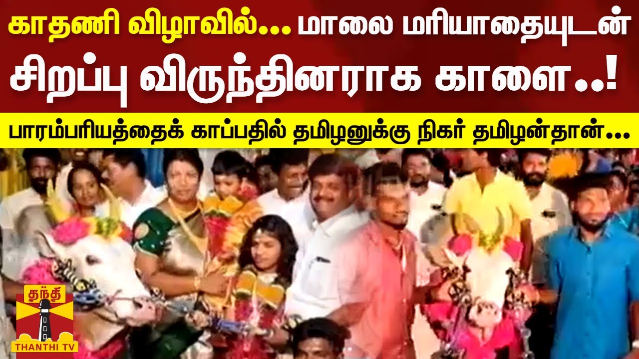 காதணி விழாவில் சிறப்பு விருந்தினராக காளை... பாரம்பரியத்தைக் காப்பதில் தமிழனுக்கு நிகர் தமிழன்தான்...