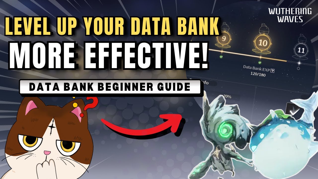 Level Up your Data Bank more Effective this way! | Wuthering waves