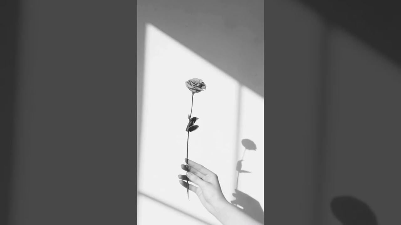 Tural Əhməd - Elə yerin görünür (İradə Əlili)