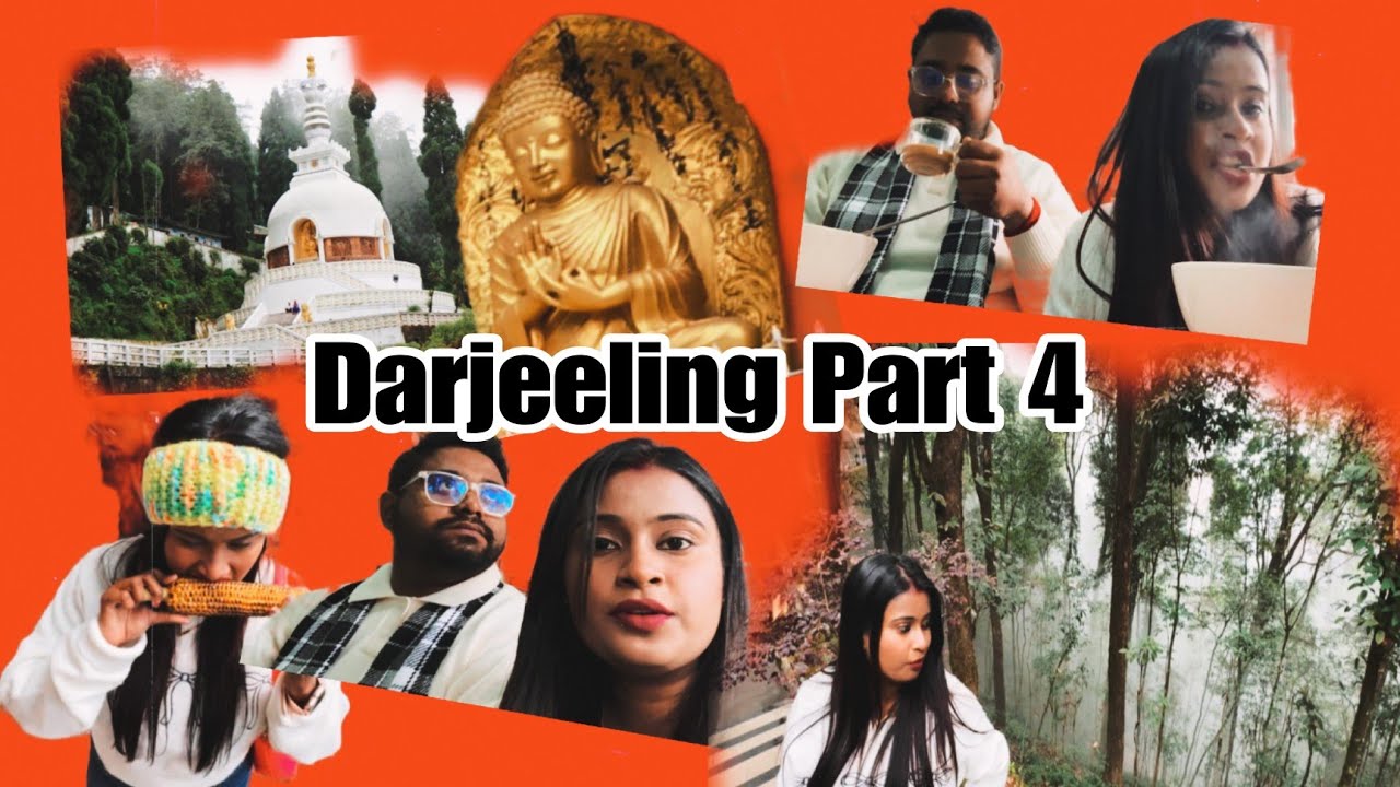 Darjeeling Part 4 || Himalayan Zoo || Peace Pagoda         #minivlog #mountains #vlog #viral #travel